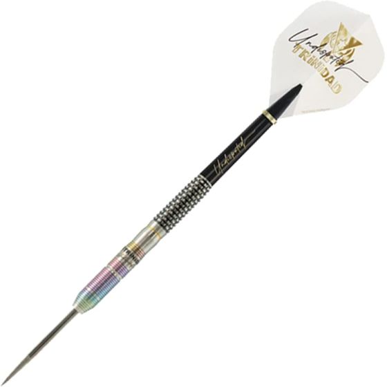 TRiNiDAD Undisputed HUGO2HugoLeung 選手モデル TRiNiDAD Undisputed HUGO Type 2 Hugo Leung Model [STEEL] 網路飛鏢