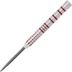 COSMO DARTS DISCOVERY LABEL David Cameron v2 David Cameron 選手款 [STEEL]