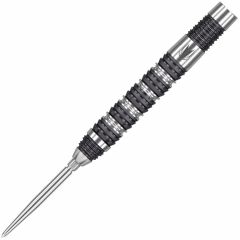 "TARGET" DVB 80 G1 SWISS POINT 22g DIMITRI VAN DEN BERGH 選手款 [STEEL] (可預購)