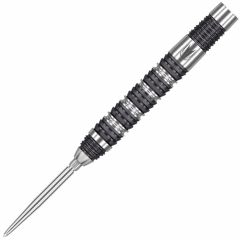 "TARGET" DVB 80 G1 SWISS POINT 24g DIMITRI VAN DEN BERGH 選手款 [STEEL] (可預購)