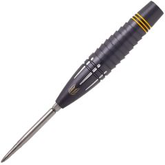 TARGET SCOTT WILLIAMS BLACK 25g Scott Williams 選手款 Swiss Point [STEEL] (可預購)